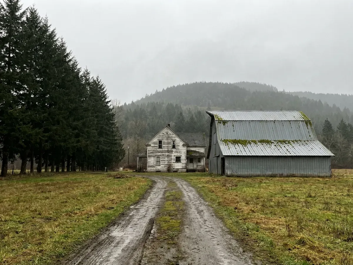 A Cobble Hill acreage with a farmhouse and metal-roofed barn below the mountain, edged by a fir windbreak