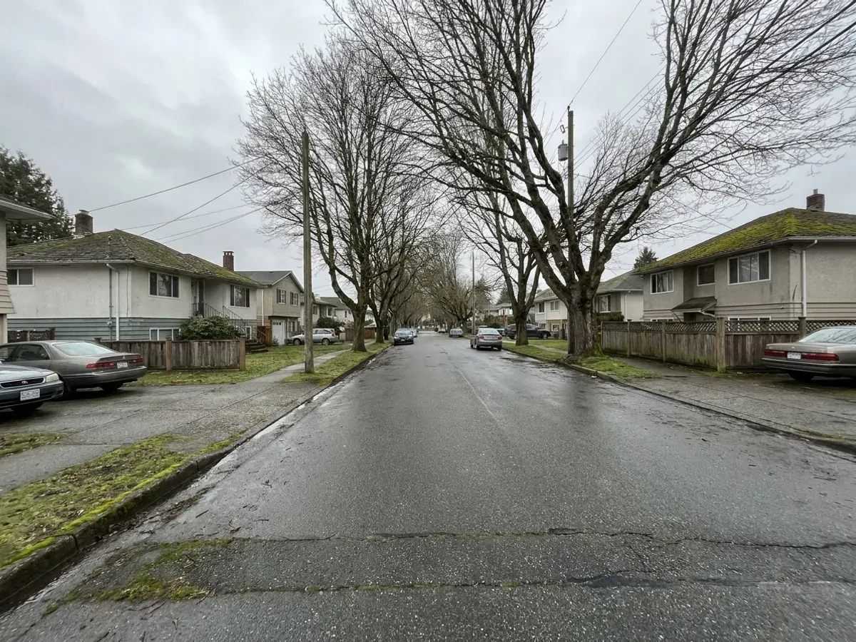 Mature street trees shading the compact older townsite core of Duncan in the Cowichan Valley