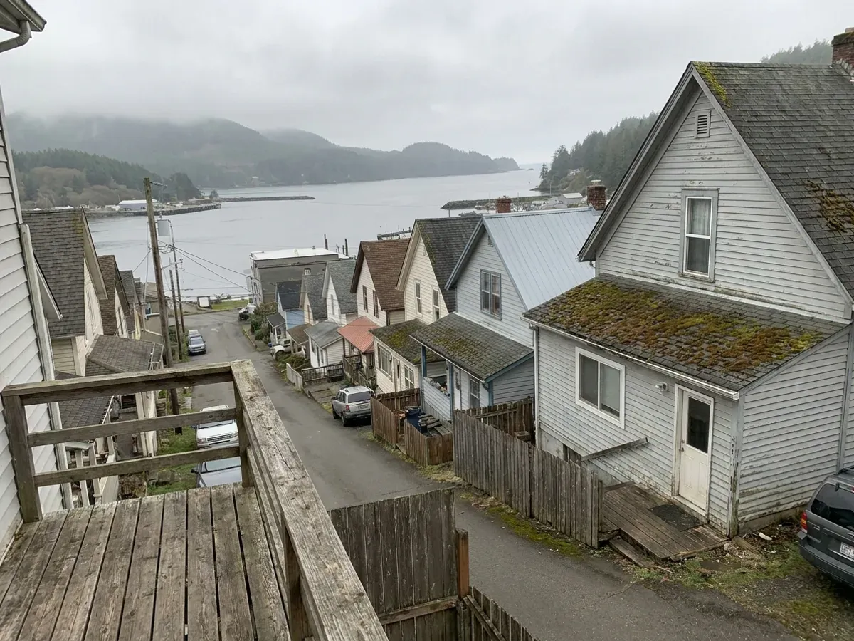 Terraced houses stepping down the steep Ladysmith hillside toward Ladysmith Harbour