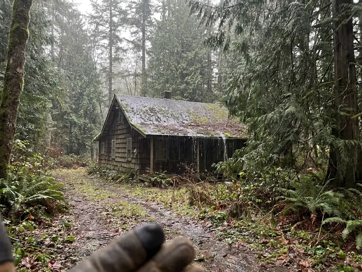 An older Lake Cowichan home under dense second-growth forest, its shingle roof darkened with moss after a wet winter